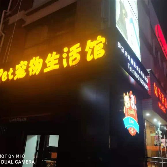 iPet宠物生活馆:上海城区浦东新区张江附近