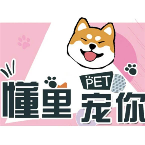 懂里宠你宠物店:北京城区海淀区西三旗附近