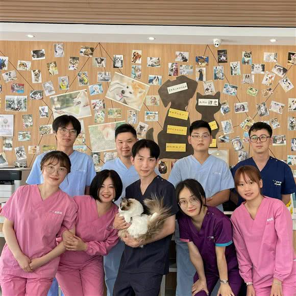 爱妮康·中美合资动物医疗中心:上海城区浦东新区张江附近