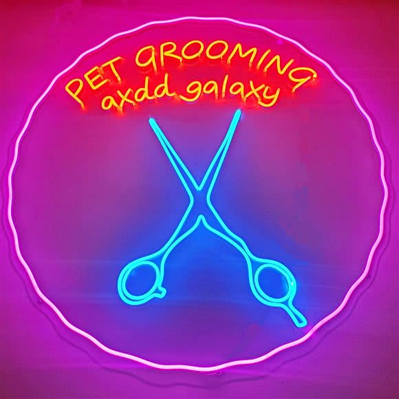 傲雄叮叮 宠物会所 南湖店:上海城区浦东新区源深体育中心附近