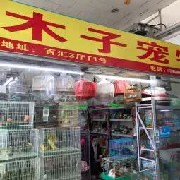 木子宠物:北京城区海淀区西三旗附近