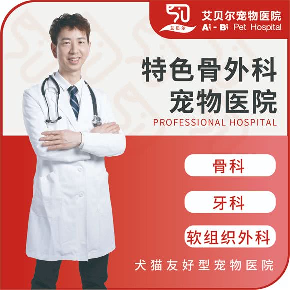 艾贝尔宠物医院(张杨店):上海城区浦东新区源深体育中心附近