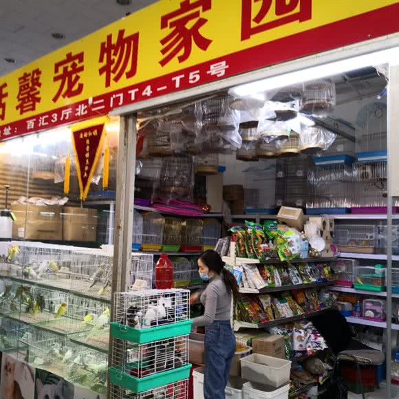 恬馨宠物家园:北京城区海淀区西三旗附近