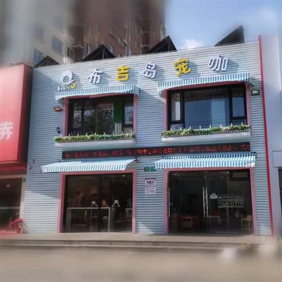 布吉岛宠咖(周浦店):上海城区浦东新区康桥/周浦附近