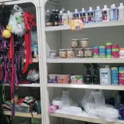 嗨皮狗狗会所:上海城区浦东新区康桥/周浦附近