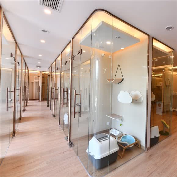 猫生MaoSheng专业猫咪洗护寄养公馆:上海城区浦东新区康桥/周浦附近