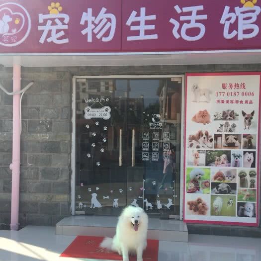 茗宠宠物:上海城区浦东新区康桥/周浦附近