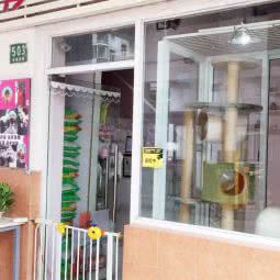 萌宠联盟:上海城区浦东新区康桥/周浦附近