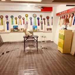 糯宝宠物会所(繁荣路直营店):上海城区浦东新区康桥/周浦附近