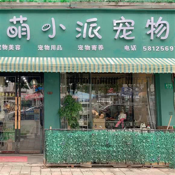 萌小派宠物(周浦店):上海城区浦东新区康桥/周浦附近