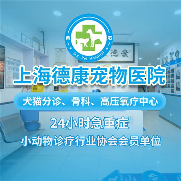 德康宠物医院24h·猫专科·骨科·口腔特色·高压氧疗中心(年家浜路店):上海城区浦东新区康桥/周浦附近