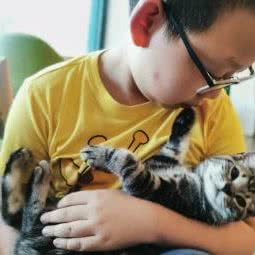 霏尝宠咖—猫咖:上海城区浦东新区康桥/周浦附近