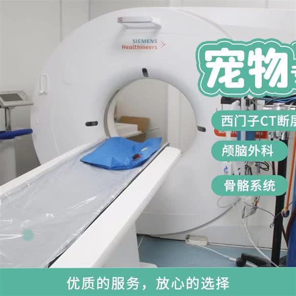 康成宠医(秀沿路总院CT、核磁、眼科、骨科中心):上海城区浦东新区康桥/周浦附近