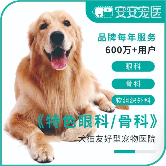 安安宠医(国文分院):上海城区浦东新区康桥/周浦附近