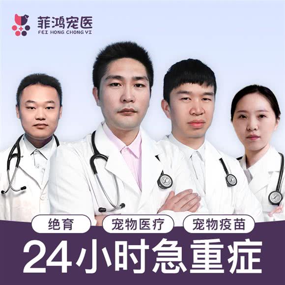 菲鸿宠物诊疗中心·24小时急重症(沪南路):上海城区浦东新区康桥/周浦附近