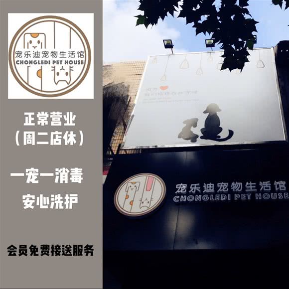 宠乐迪宠物生活馆:上海城区浦东新区金杨地区附近