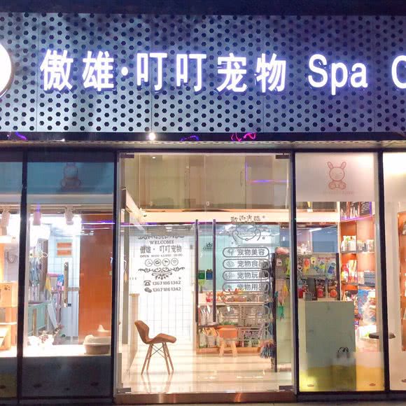 傲雄叮叮宠物美容SPA(川沙店):上海城区浦东新区川沙附近