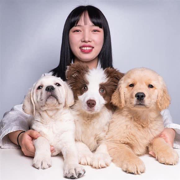 宝贝它宠物乐园:上海城区浦东新区川沙附近