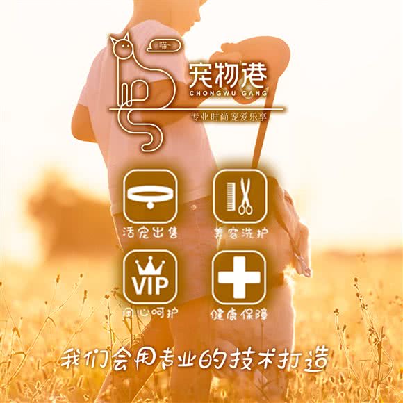 宠物港帕琵猫舍(磁器口店):北京城区东城区崇文门附近