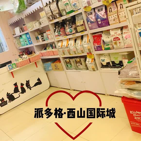 派多格宠物狗:北京城区海淀区田村附近