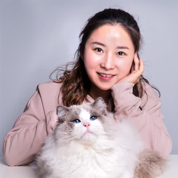 布偶猴子·传奇猫舍欧洲加拿大血系:上海城区浦东新区川沙附近