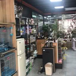 波波宠物:上海城区浦东新区三林地区附近