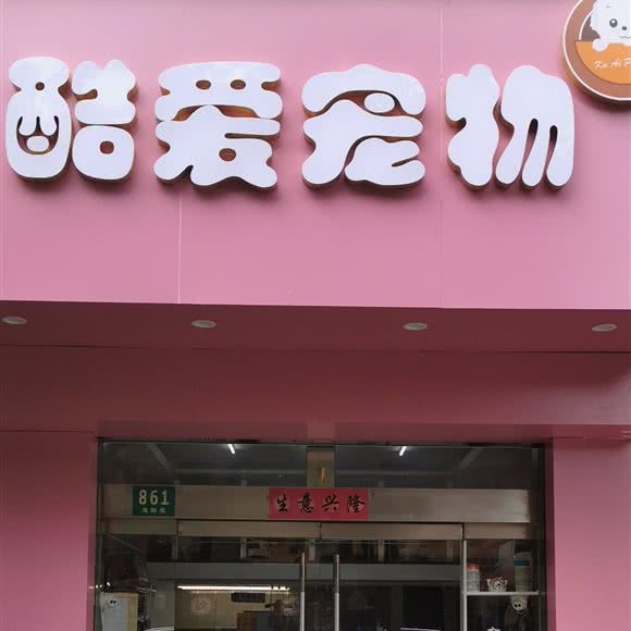 酷爱宠物狗:上海城区浦东新区三林地区附近