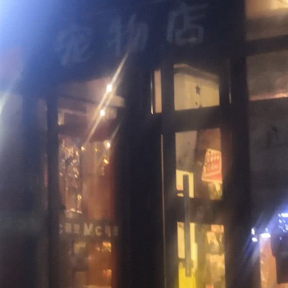 宠物店:北京城区海淀区西北旺附近