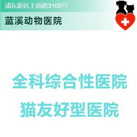 蓝溪动物医院:上海城区浦东新区三林地区附近