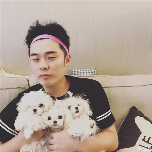 菁菁马尔济斯与布偶猫:上海城区浦东新区曹路附近