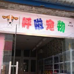 呼啦宠物店:北京城区海淀区西北旺附近