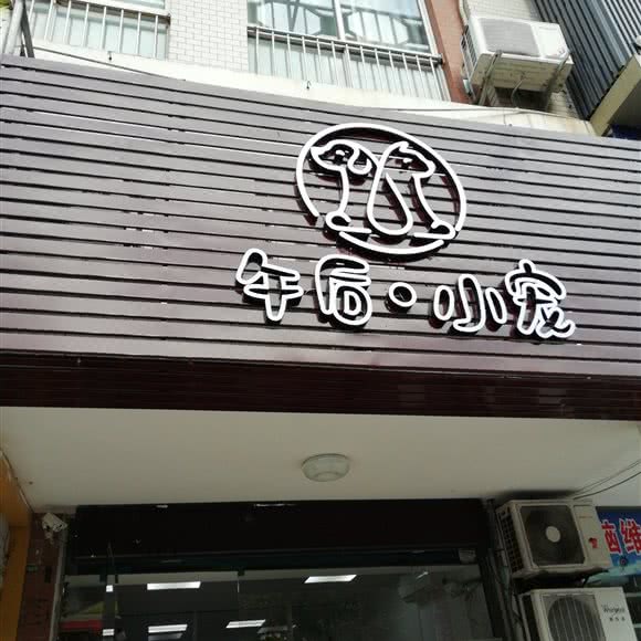 午后小宠:上海城区浦东新区外高桥附近