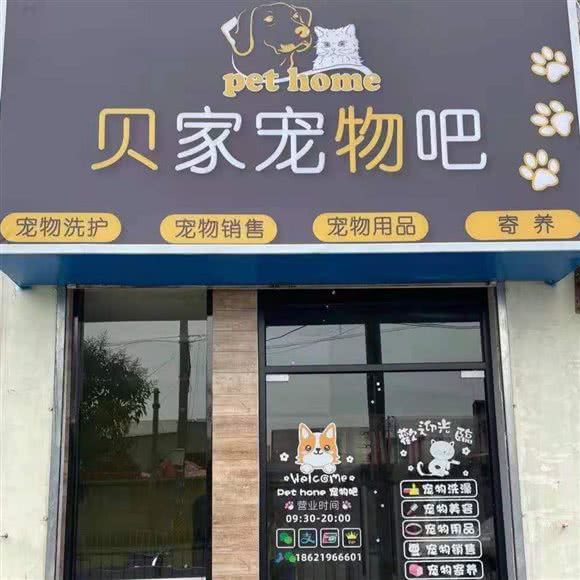 贝家宠物吧:上海城区浦东新区外高桥附近