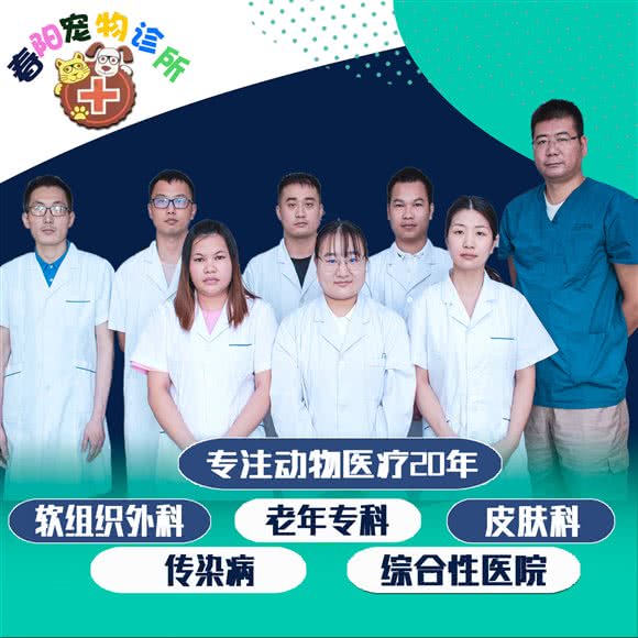 春阳宠物诊所:上海城区浦东新区外高桥附近