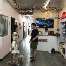 派多格宠物(百旺府店):北京城区海淀区西北旺附近