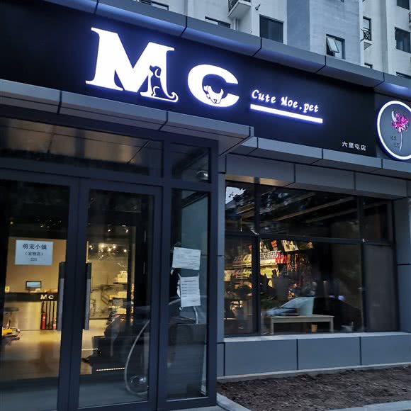 M C  cute moe&nbsp; pet:北京城区海淀区西北旺附近