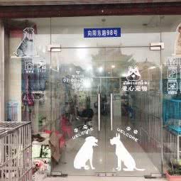 爱心狗狗:上海城区浦东新区惠南镇附近