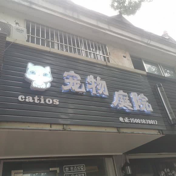 宠物庭院:上海城区浦东新区惠南镇附近