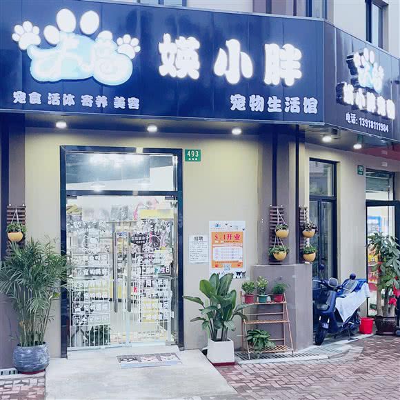 媖小胖宠物狗生活馆:上海城区浦东新区惠南镇附近