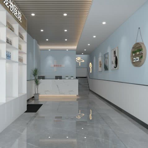 撸撸宠物医院:上海城区浦东新区惠南镇附近