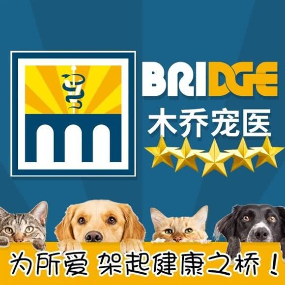 北京木乔动物医院:北京城区海淀区西北旺附近
