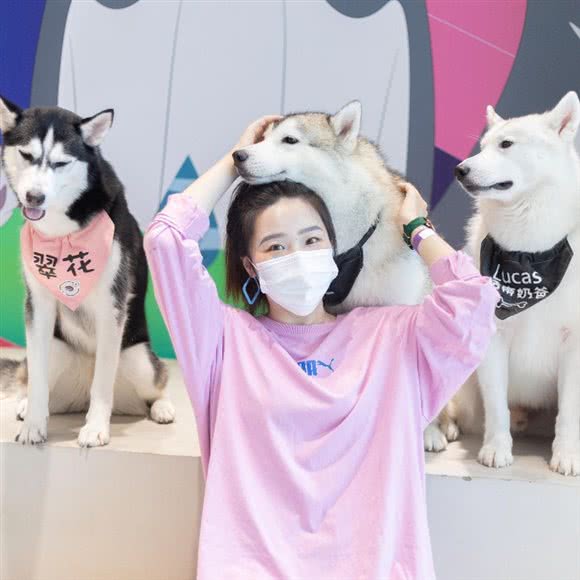 魔都哈士奇体验馆·撸狗·寄养·训练·猫狗售卖(百联世纪店):上海城区浦东新区世纪大道附近