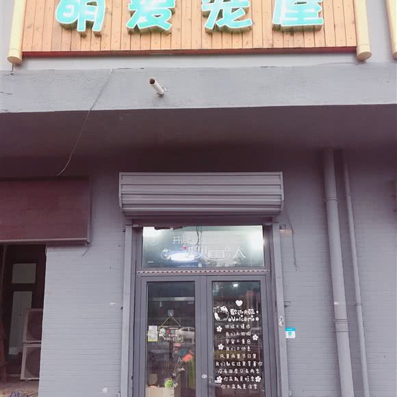 萌爱宠屋:北京城区海淀区上庄附近