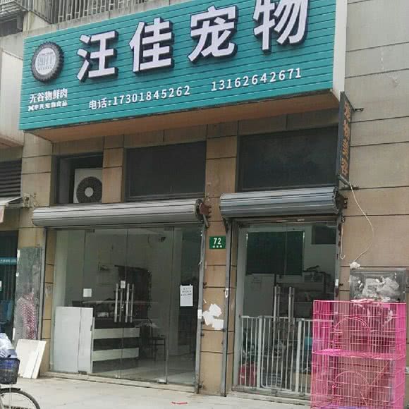 汪佳宠物狗:上海城区浦东新区迪士尼附近