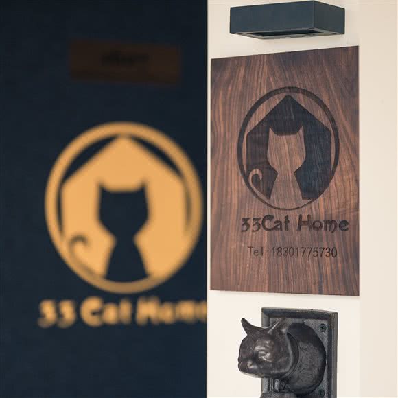 33家猫舍:上海城区浦东新区高行附近