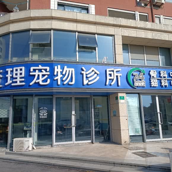 查理宠物诊所:上海城区浦东新区南汇新城附近