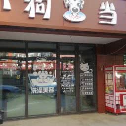 小狗当家:北京城区门头沟区门头沟区附近