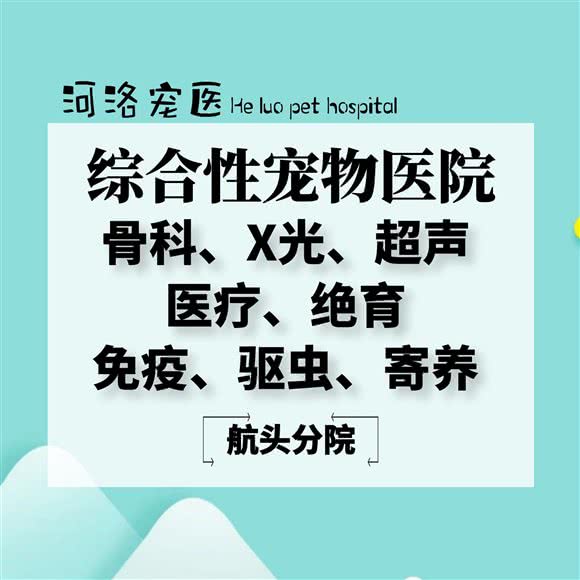 河洛宠医·大型综合性宠物医院·骨科特色(航头分院):上海城区浦东新区航头附近
