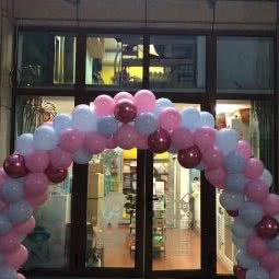 雪思嘉宠物狗:北京城区门头沟区门头沟区附近