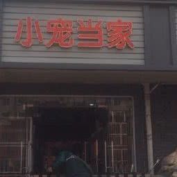 小宠当家(永泰路店):上海城区浦东新区世博园附近